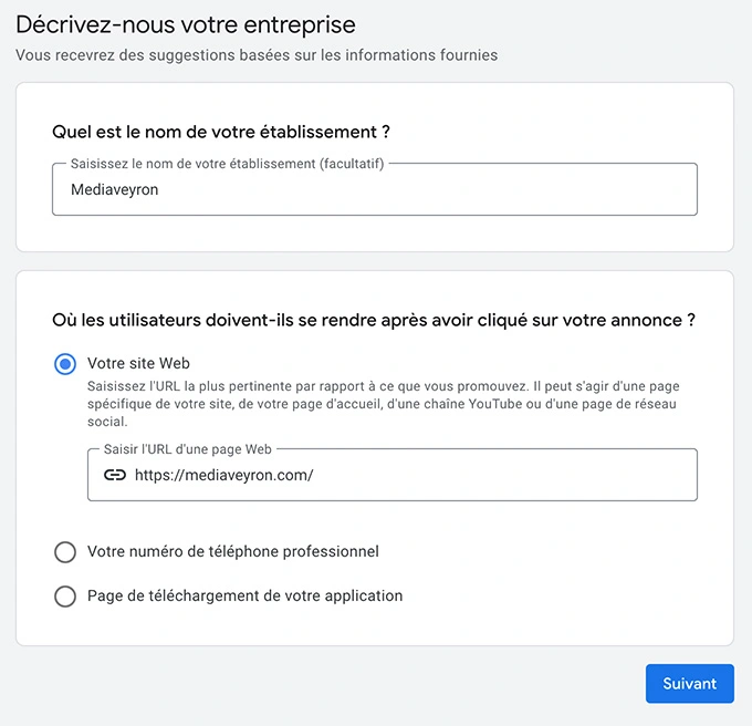 Google Ads demande de décrire son entreprise