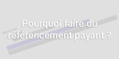 Pourquoi faire du référencement payant